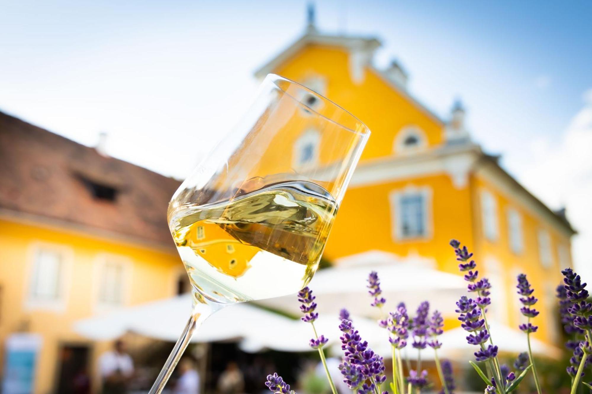Schloss Gamlitz Esterno foto